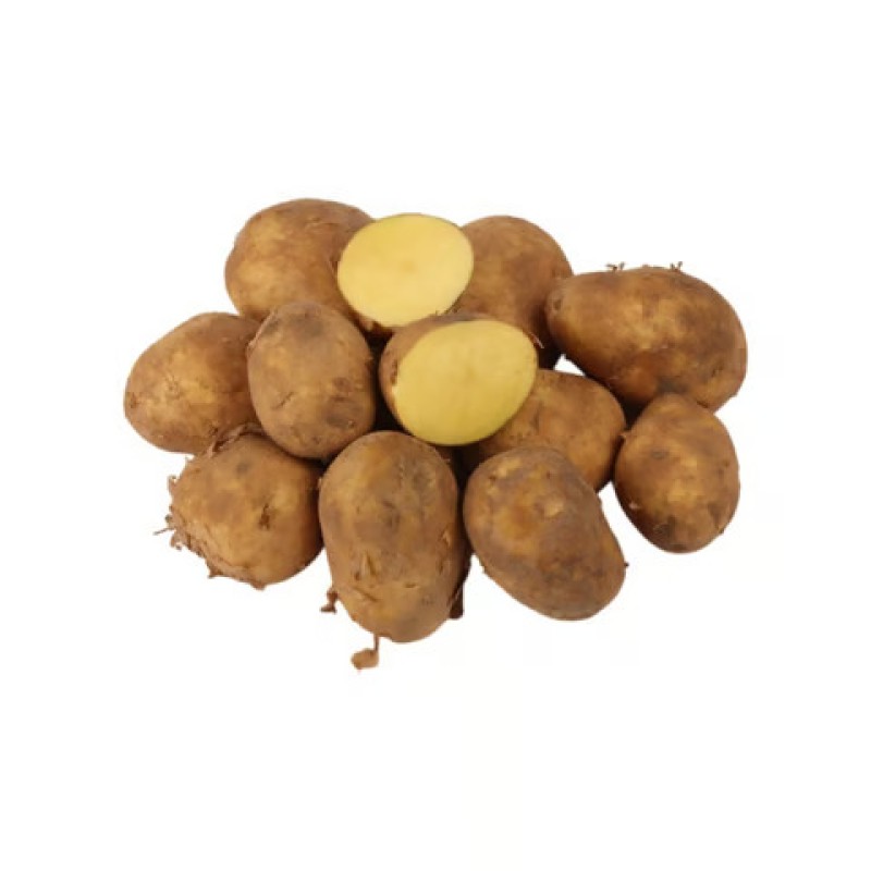 Potato (Aloo)